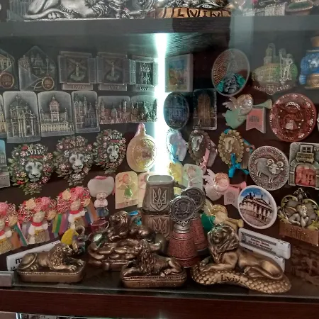 On Knyazya Romana 26 Center 公寓 利沃夫
